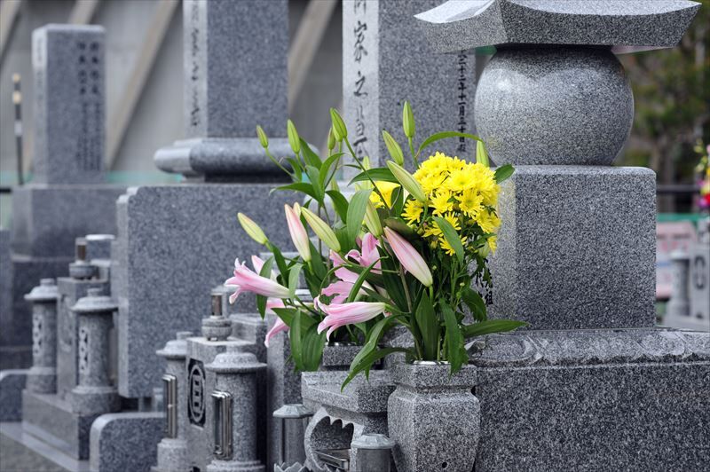 AdobeStock_74359896